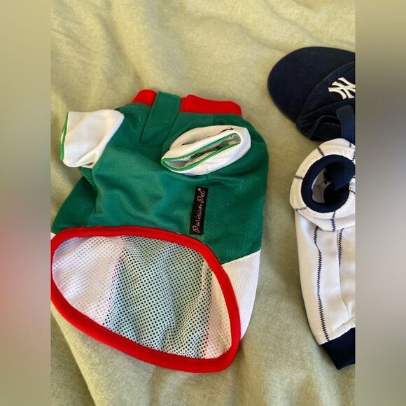 Set of Small Dog/Cat Costumes & Outfits - Picture 14 of 14